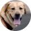 I LOVE EyeBuyDirect