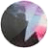 Cheveux gris Fleuries color